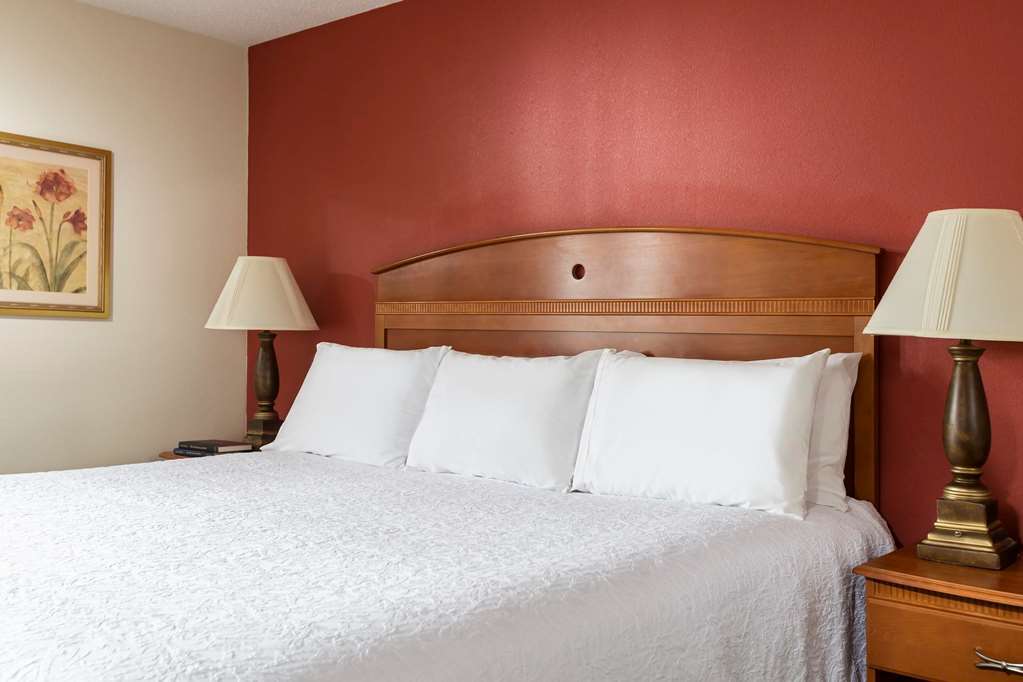 Hampton Inn By Hilton Youngstown-West I-80 Mineral Ridge Ruang foto